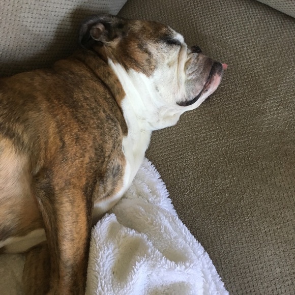 Meet your Posher, Kara - Picture 5 of 5